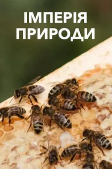Імперія природи