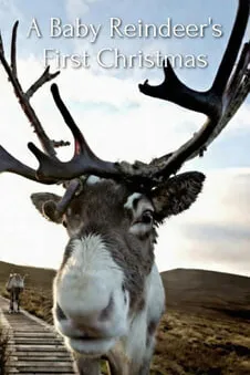 A Baby Reindeer's First Christmas