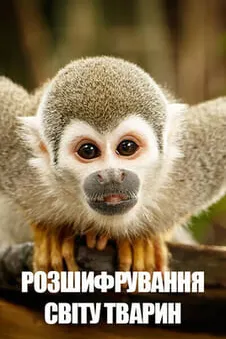 Розшифрування світу твариин