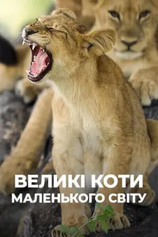 Великі коти маленького світу