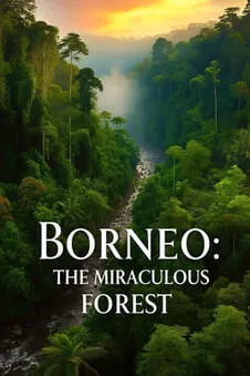 Borneo: The Miraculous Forest