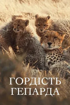 Гордість гепарда