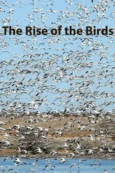 The Rise of the Birds