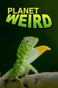 Planet Weird