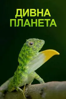 Дивна планета