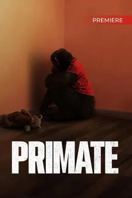 Primate