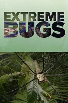Extreme Bugs