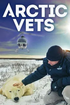 Arctic Vets