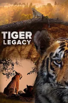 Tiger Legacy