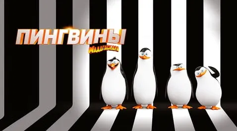 Пингвины Мадагаскара