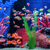 Aquarium 4K