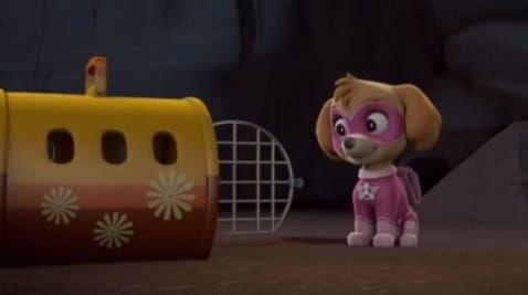 7 Episode