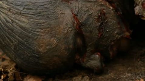 2. Mystical Ukraine. Pernicious Places: Territories of Death