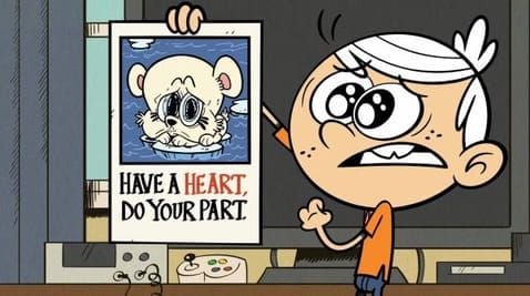 23 Episode