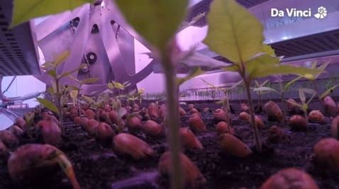 17. The Travelling Greenhouse