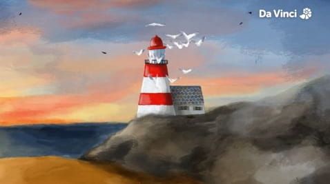 11. Seagulls