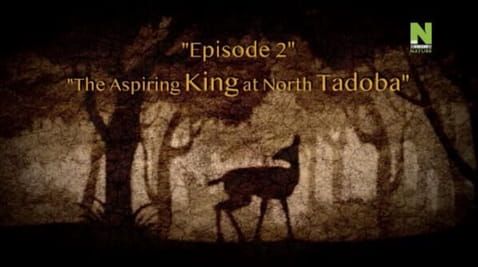 2 Episode