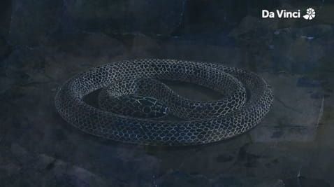 15. Snakes