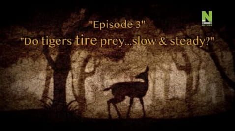 3 Episode