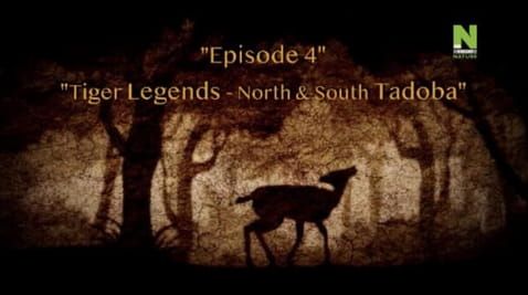 4 Episode