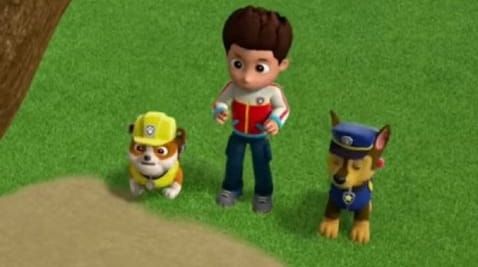 20 Episode