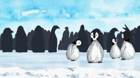 21. Penguins