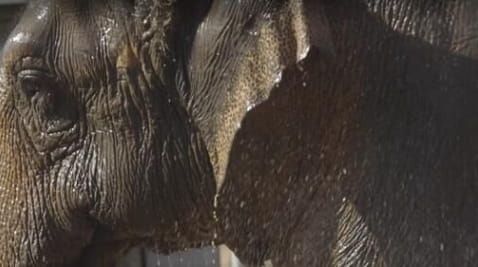 2. Series