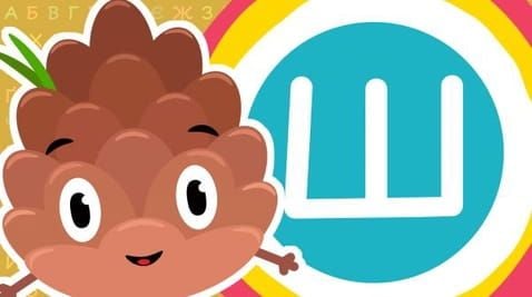 29 Episode