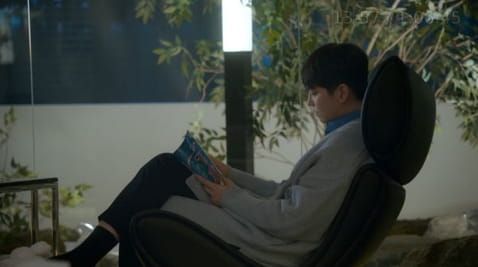 12 Episode