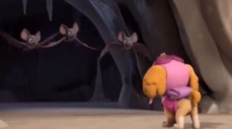 11 Episode