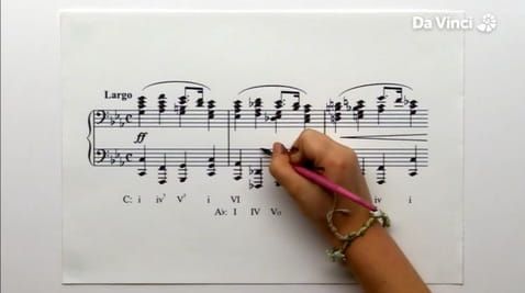 10. Bird Musicians