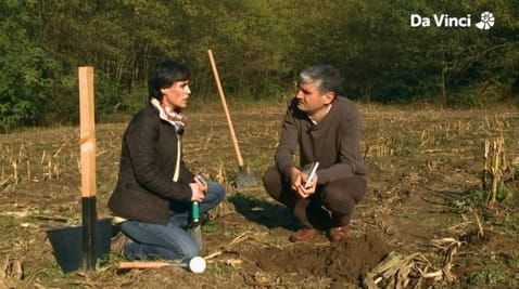 36. Deep in the Soil
