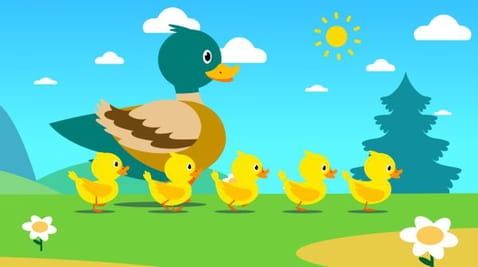 Five little ducks