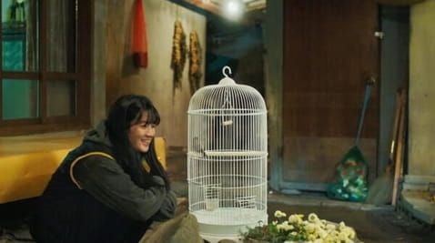 3 Episode