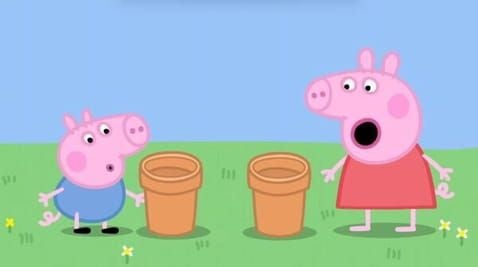 19 Episode