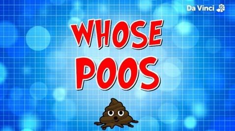 5. Poo