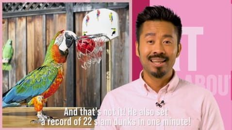 6 Episode