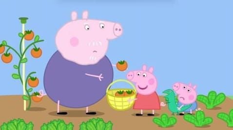 34 Episode