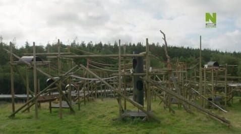 16 Episode
