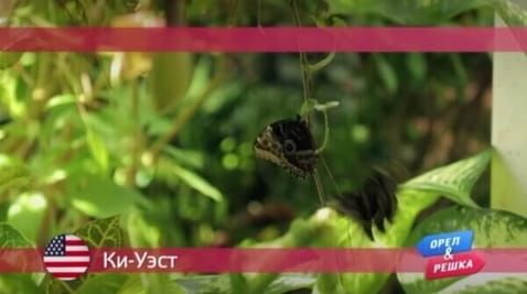 104 series