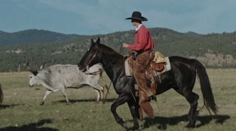 Wild West