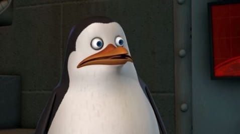 14 Episode