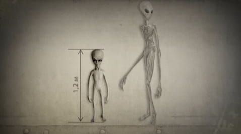 15. Hidden reality. Aliens. The battlefield is Earth