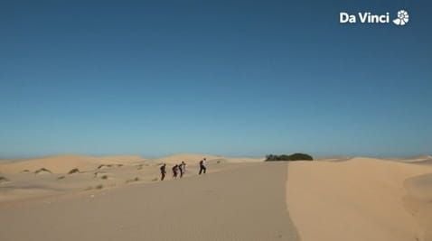 4. West Coast - Heading For Bird Island