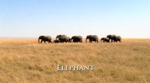 12, Series