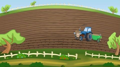 Planting potatoes