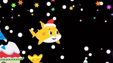 Shark baby, new year