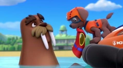 13 Episode