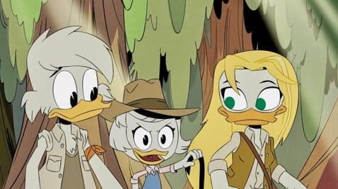 12 Episode