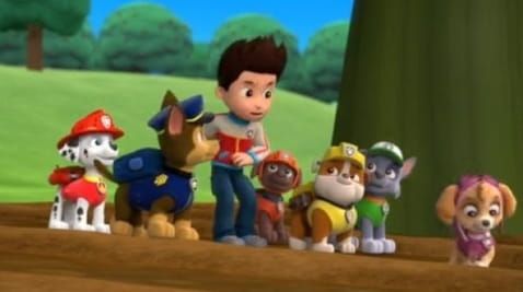 23 Episode